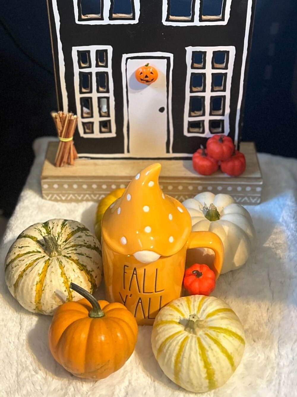 RAE DUNN (FALL Y'ALL) Mug